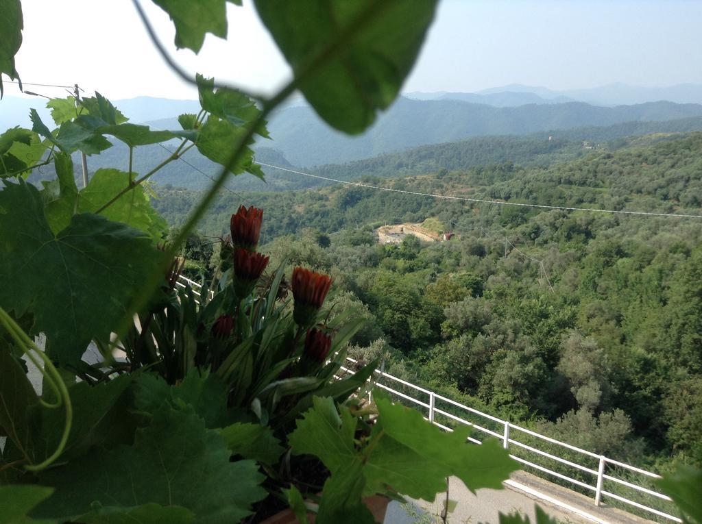 Bed & Breakfast Ca' Di Vissai Arnasco Екстер'єр фото
