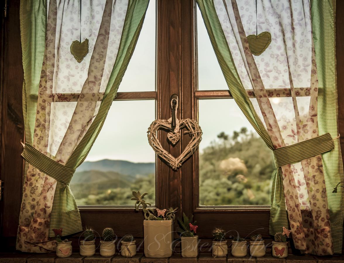 Bed & Breakfast Ca' Di Vissai Arnasco Екстер'єр фото