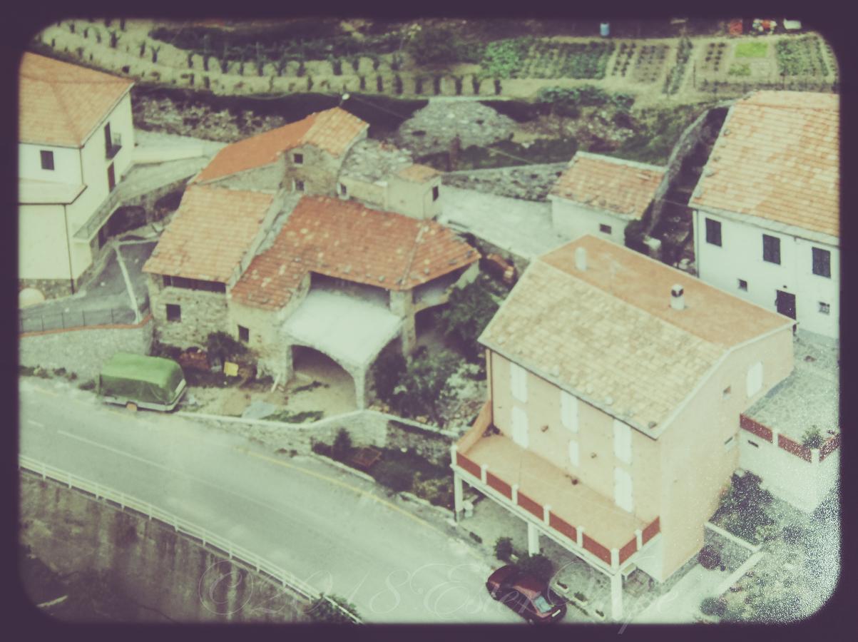 Bed & Breakfast Ca' Di Vissai Arnasco Екстер'єр фото